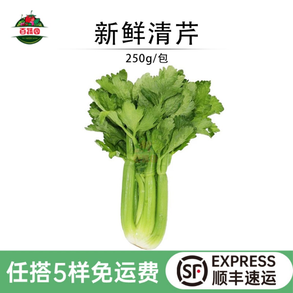 新鲜清芹水果西芹素食榨汁蔬菜荷兰清芹生吃清脆爽口250g云南维康