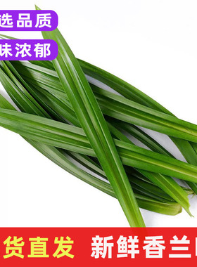 斑斓叶新鲜食用香兰叶商用班兰叶蛋糕烘培甜品千层芒果糯米饭包邮