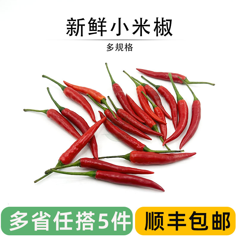 新鲜小米椒农家自种提香调味蔬菜