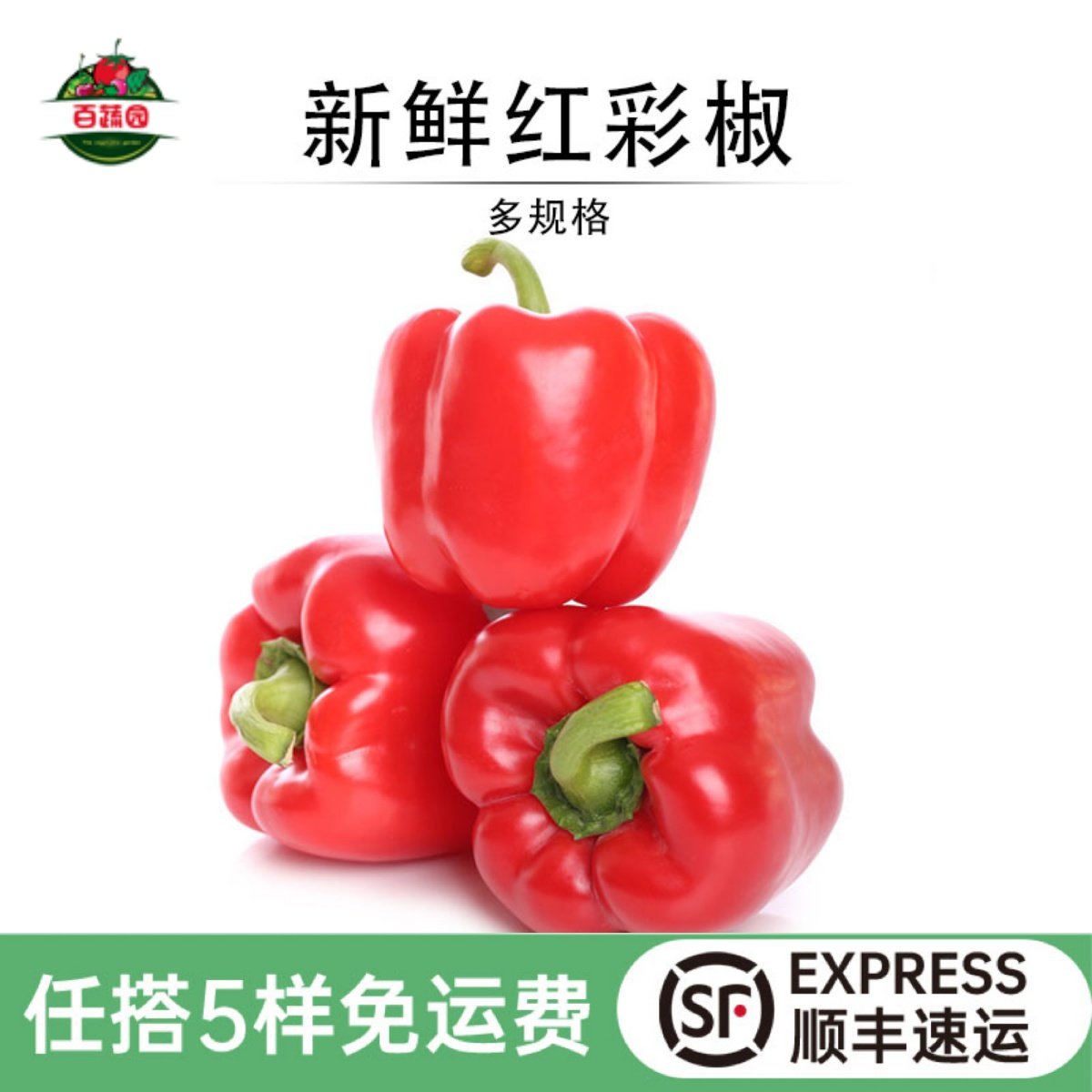红彩椒新鲜红圆椒沙拉摆盘食材