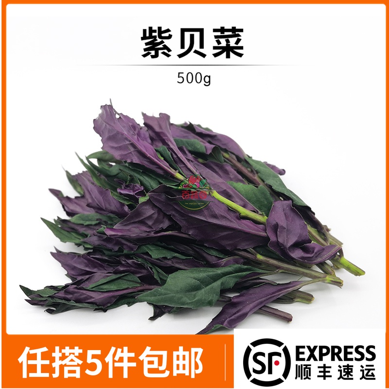 新鲜紫贝菜子贝菜红背菜观音菜血皮菜紫背天葵食用农家野菜 500g