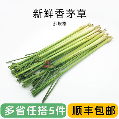 奶茶店用品冬阴功火锅新鲜香茅草