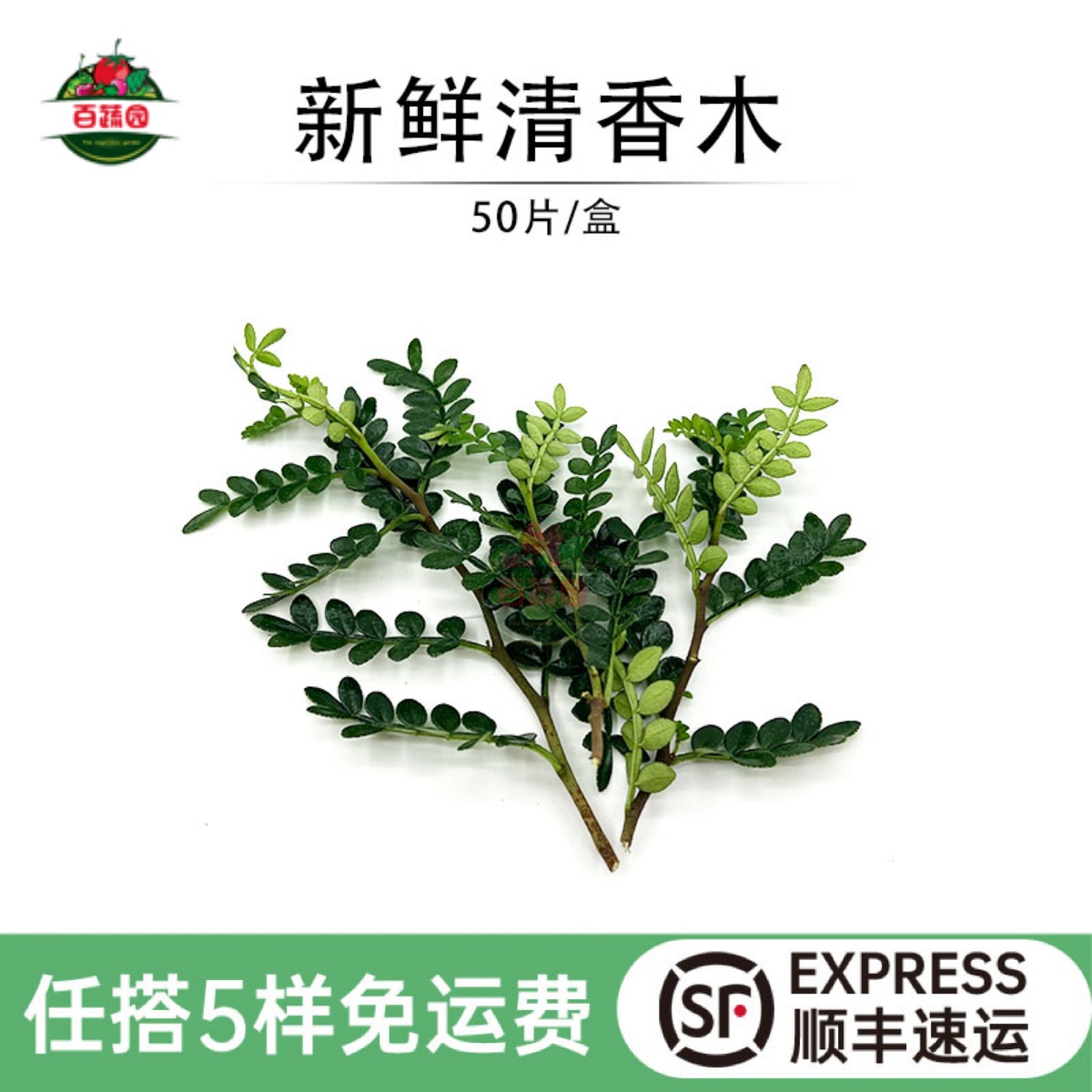 新鲜清香木蛋糕饮品点缀装饰叶子