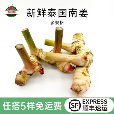 新鲜泰国南姜白皮姜泰餐食材蔬菜