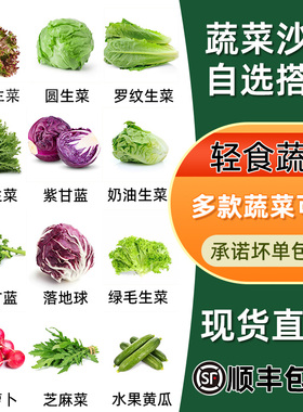 蔬菜沙拉食材新鲜混合生菜清洗即食西餐色拉菜红叶苦菊球生菜包邮