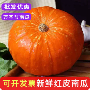新鲜红皮南瓜老瓜万圣节雕刻装饰蔬菜宝宝辅食软糯香甜小金瓜包邮