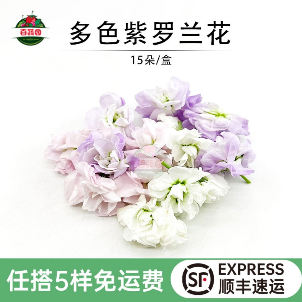 新鲜紫罗兰花朵西餐日料摆盘多色鲜花蛋糕烘培装饰点缀花草三色堇