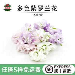 新鲜紫罗兰花多色混搭鲜花西餐日料摆盘花朵蛋糕烘培装饰点缀花草