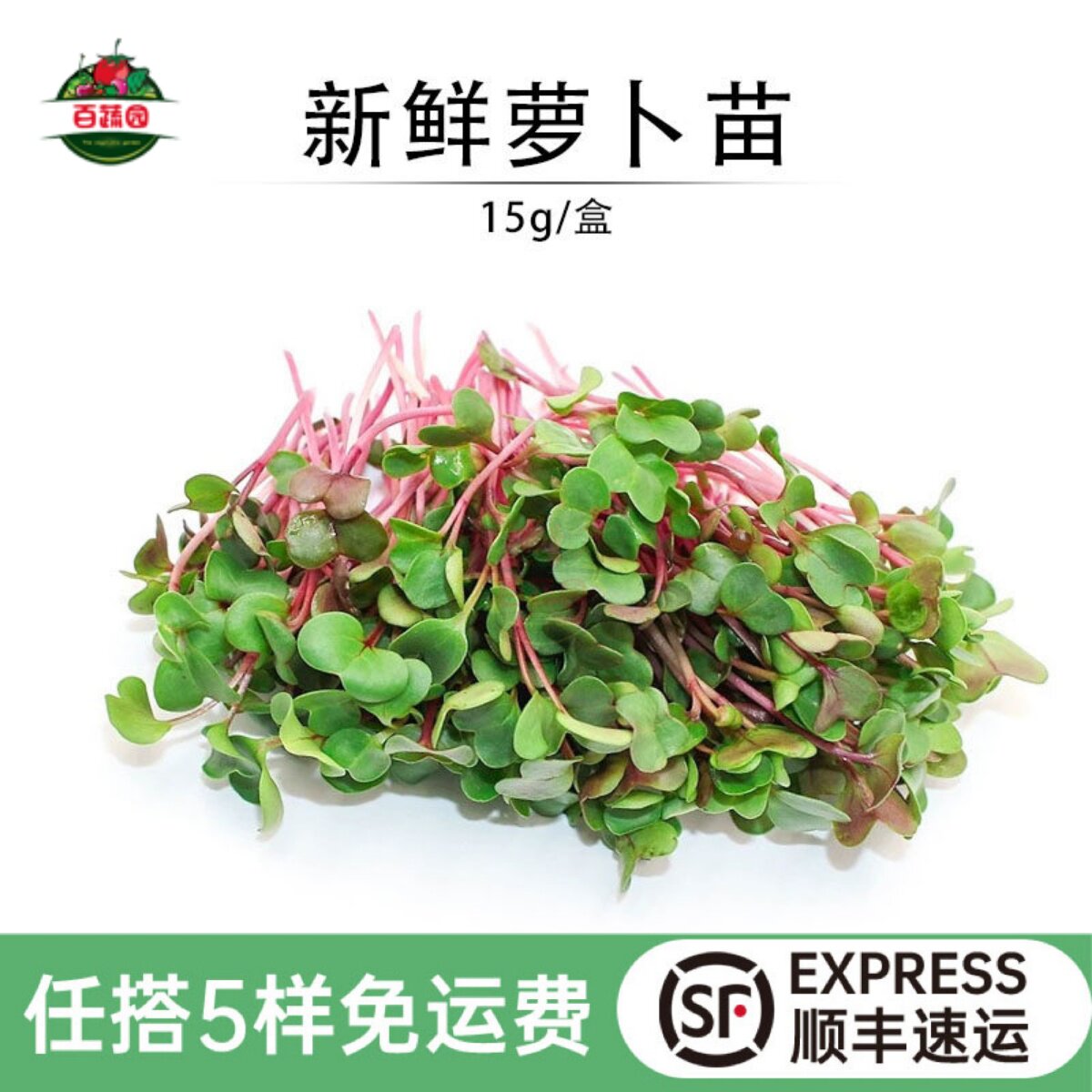 萝卜苗可食用新鲜红梗萝卜芽苗甜品蛋糕酒店西餐摆盘装饰点缀花草