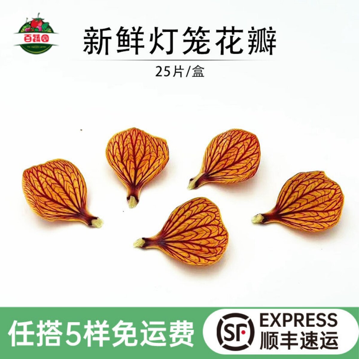 新鲜灯笼花瓣金玲花风铃花西餐酒店摆盘装饰蛋糕日料点缀花草25片