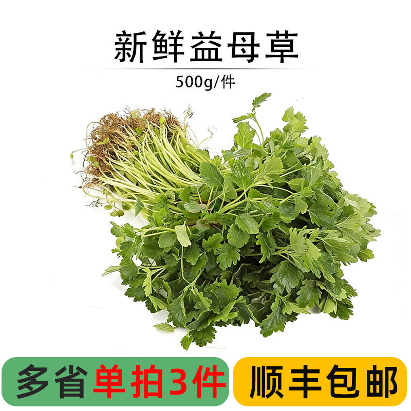 新鲜益母草农庄特色蔬菜野菜现摘