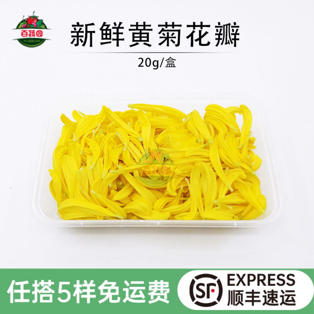 新鲜新鲜黄菊花花瓣可食用酸菜鱼