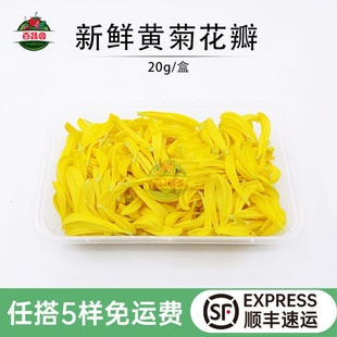 新鲜黄菊花花瓣可食用花酸菜鱼装 饰西餐厅火锅摆盘点缀1盒约20g