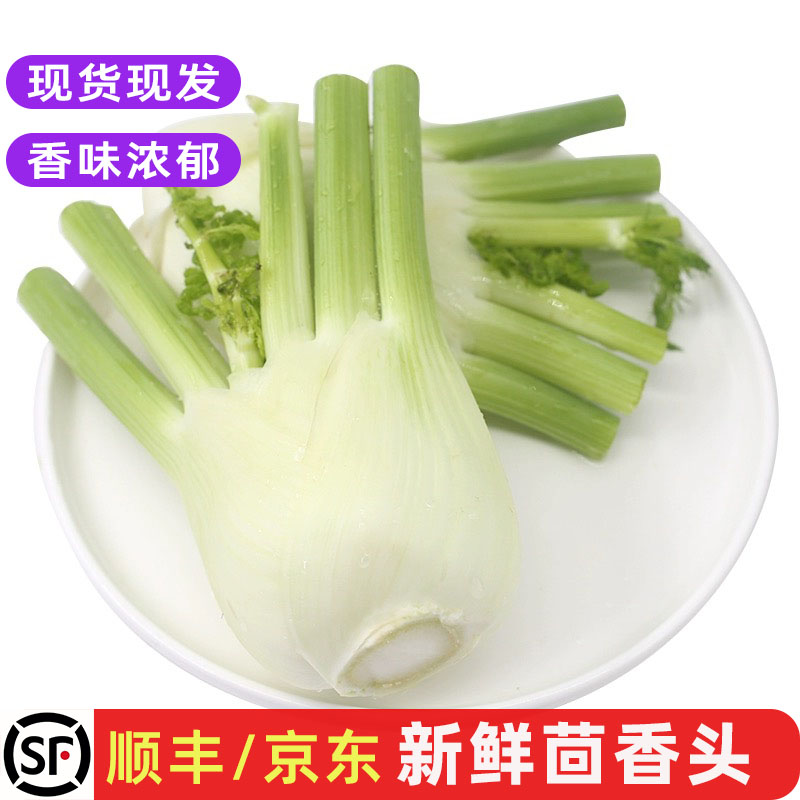 新鲜茴香头餐厅食材炒农家菜包邮