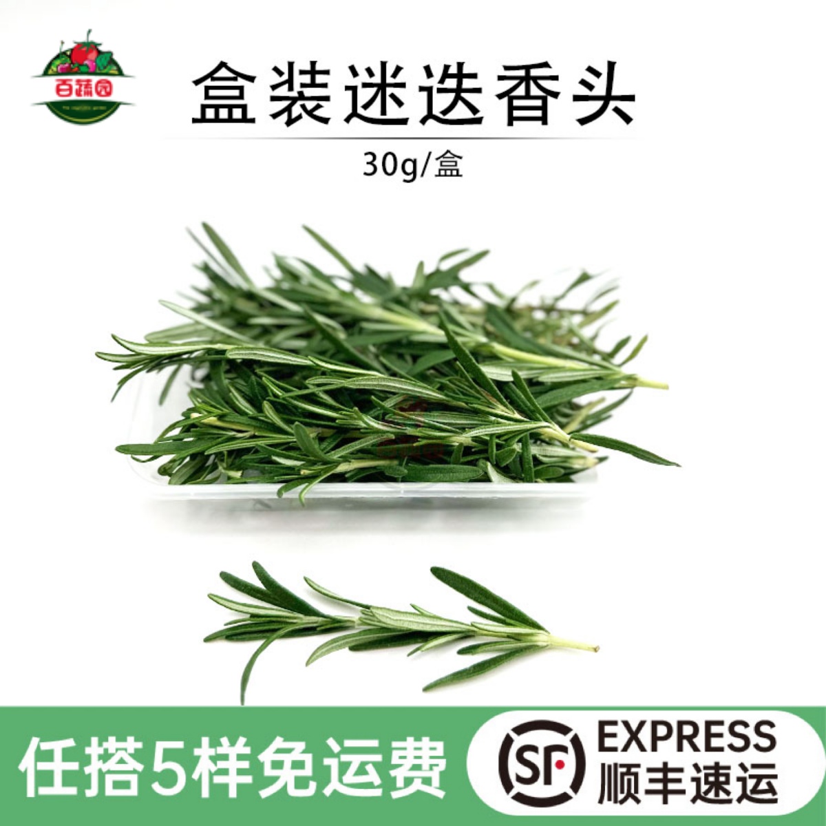 迷迭香头食用装饰甜品蛋糕调味