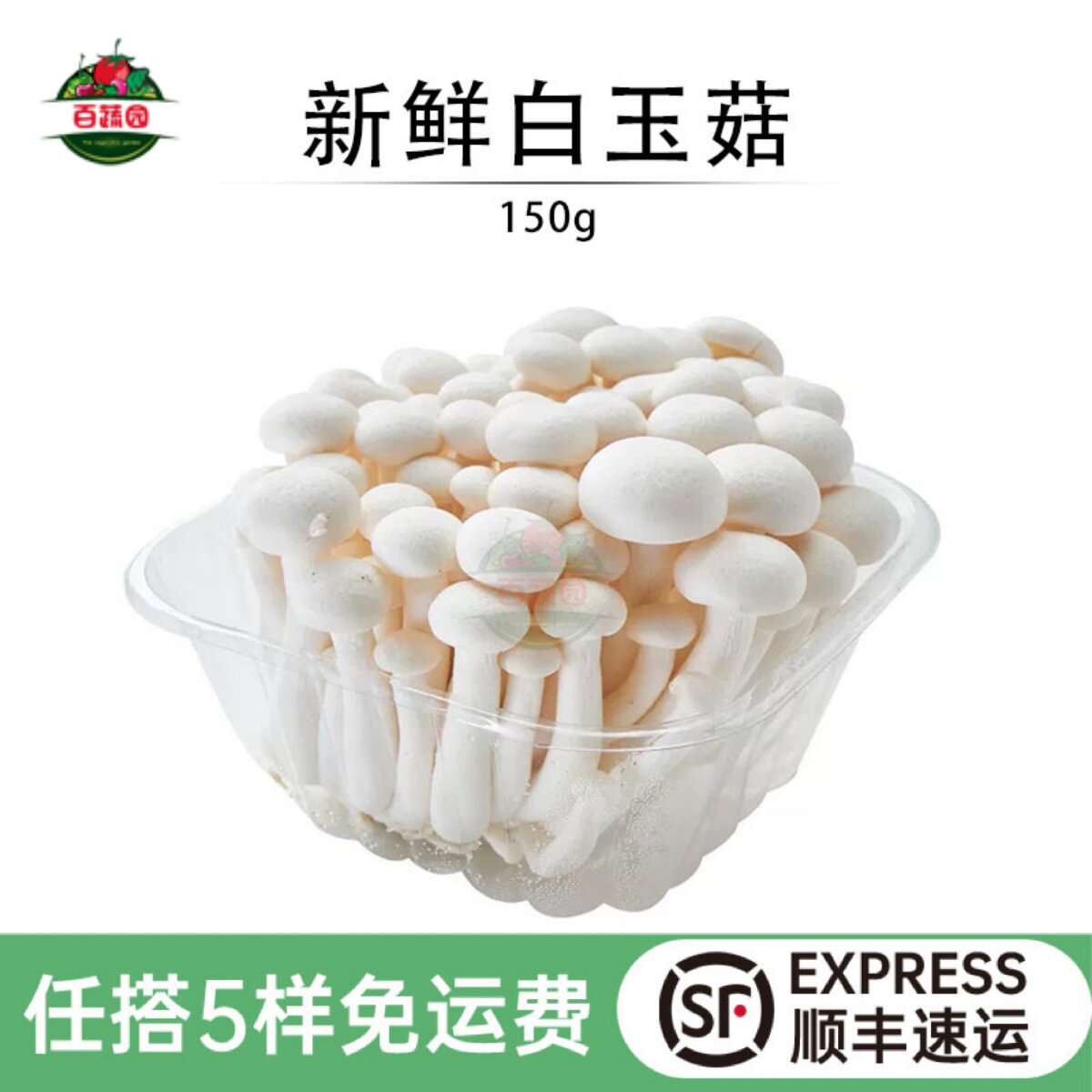 新鲜白玉菇蔬菜上品菌菇食用菌火锅煲汤凉拌食材鲜蘑菇150g非干货