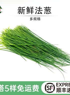 新鲜法葱 食用细葱小葱香葱虾夷葱 Chives 西餐食材香料香草配菜