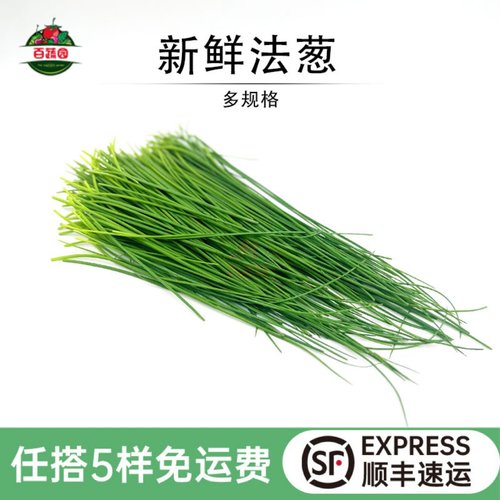 新鲜法葱西餐食材香料香草配菜