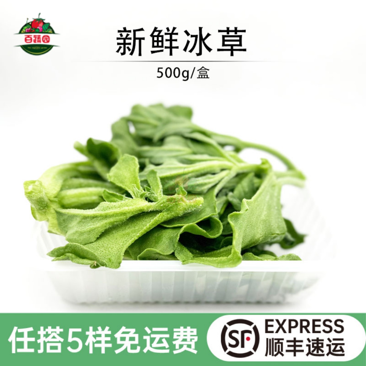 沙拉健身西餐厅食材新鲜冰草