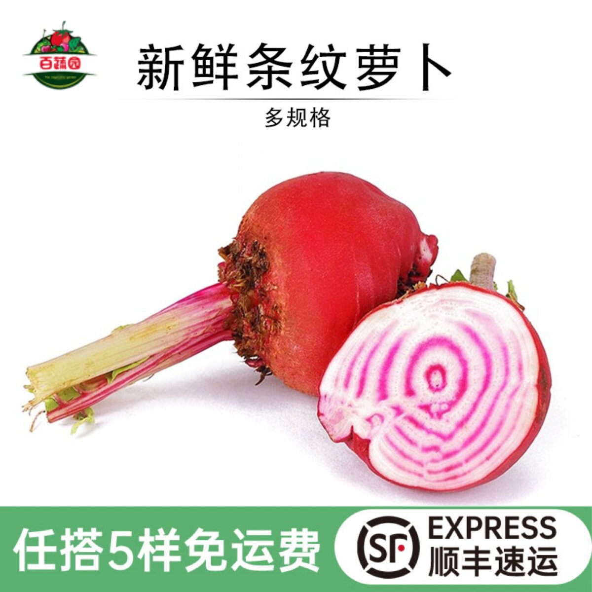 条纹萝卜新鲜红条纹菜头螺旋纹菜头 西餐厅食材摆盘装饰点缀蔬菜