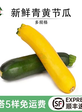 新鲜青黄节瓜意大利青瓜混色茄瓜西葫芦西餐食材健身沙拉食用蔬菜