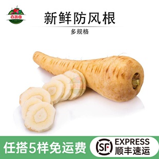 新鲜防风根parsnip欧洲蒲芹菜萝卜法国西餐烘焙食用烧烤蔬菜食材