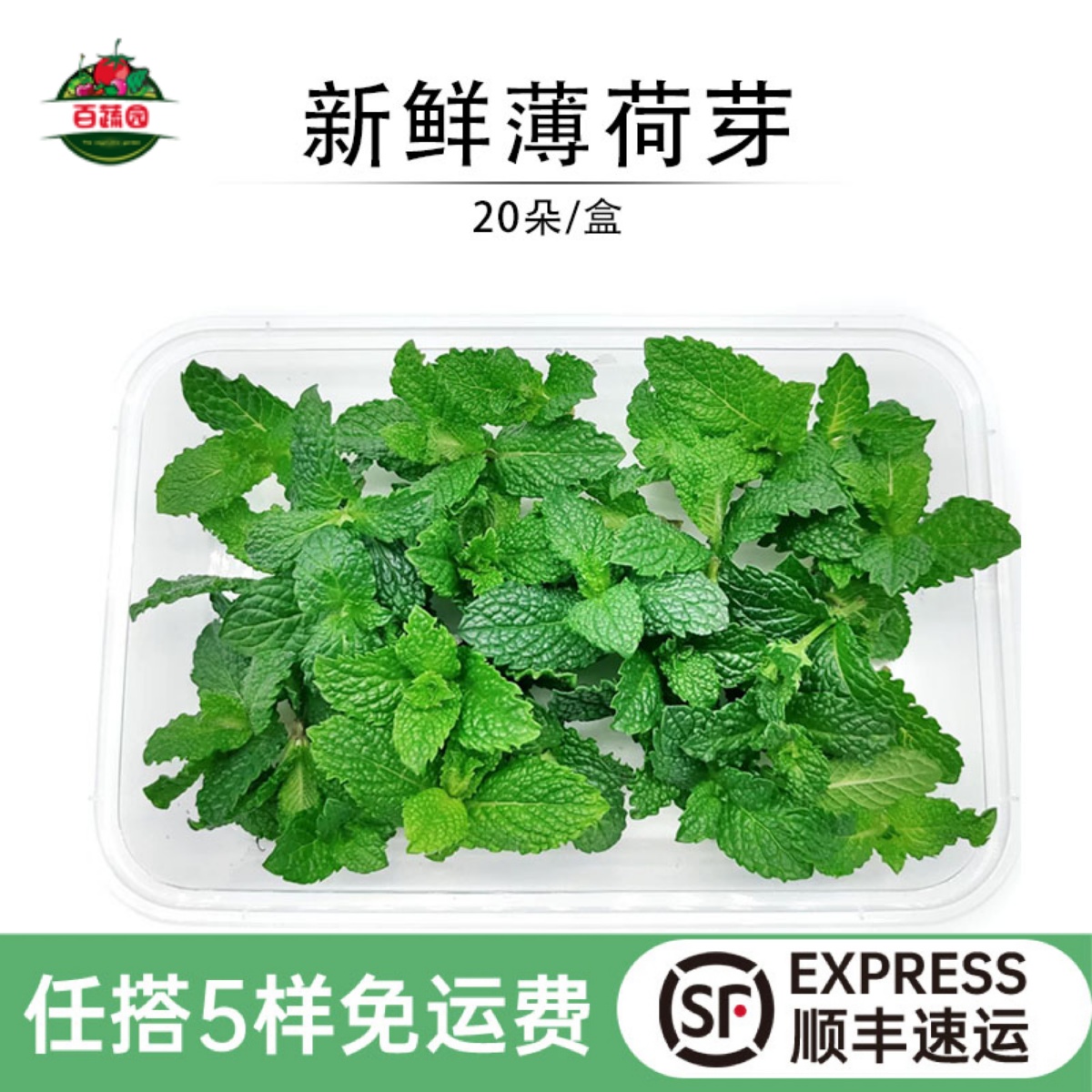 新鲜薄荷芽蛋糕装饰西餐摆盘花草