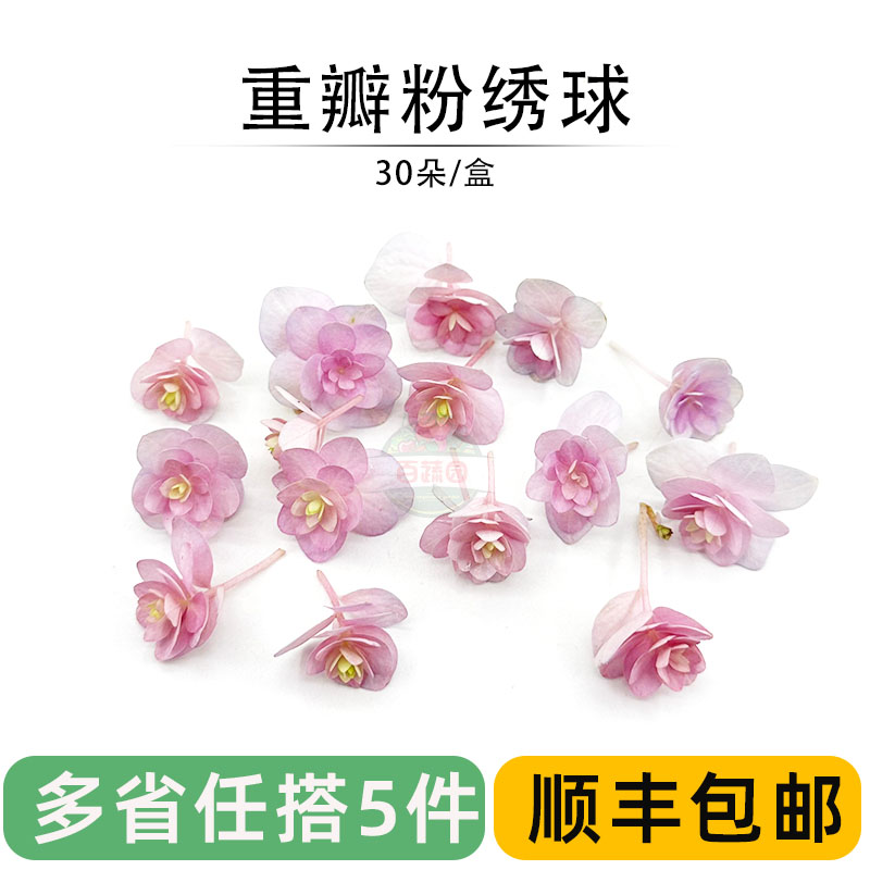 绣球花新鲜重瓣粉绣球30朵西餐酒店摆盘装饰花草日料蛋糕点缀鲜花