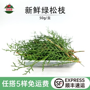 新鲜扁柏叶侧柏叶绿松枝松柏叶西餐餐厅圣诞蛋糕烘培摆盘装饰花草