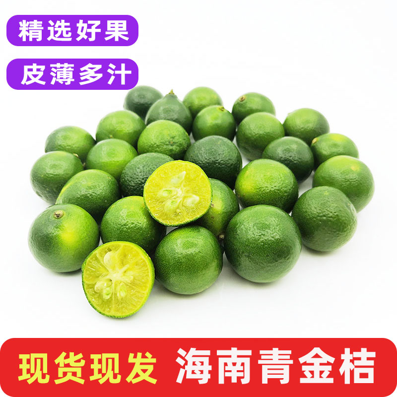 海南小金桔小青柠檬水果皮薄多汁