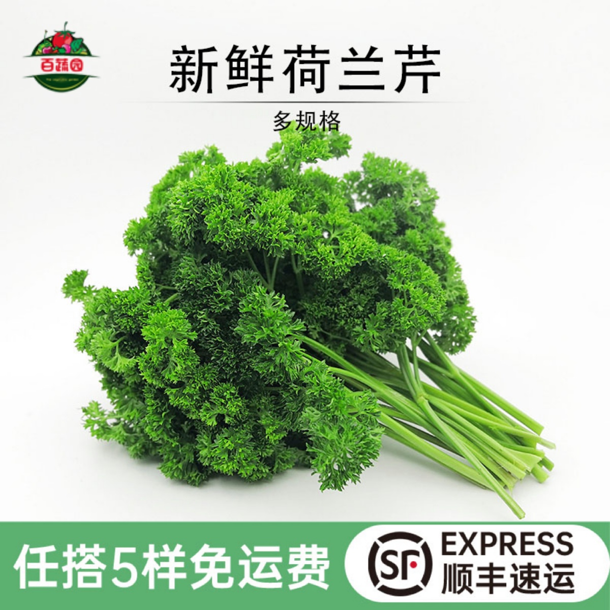 新鲜方西食用欧芹酒楼摆盘装饰菜