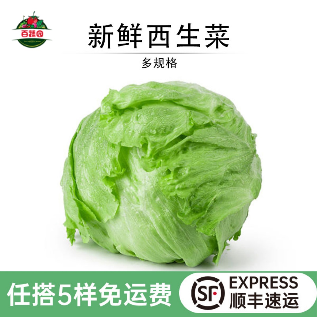 沙拉即食蔬菜球生菜新鲜西生菜