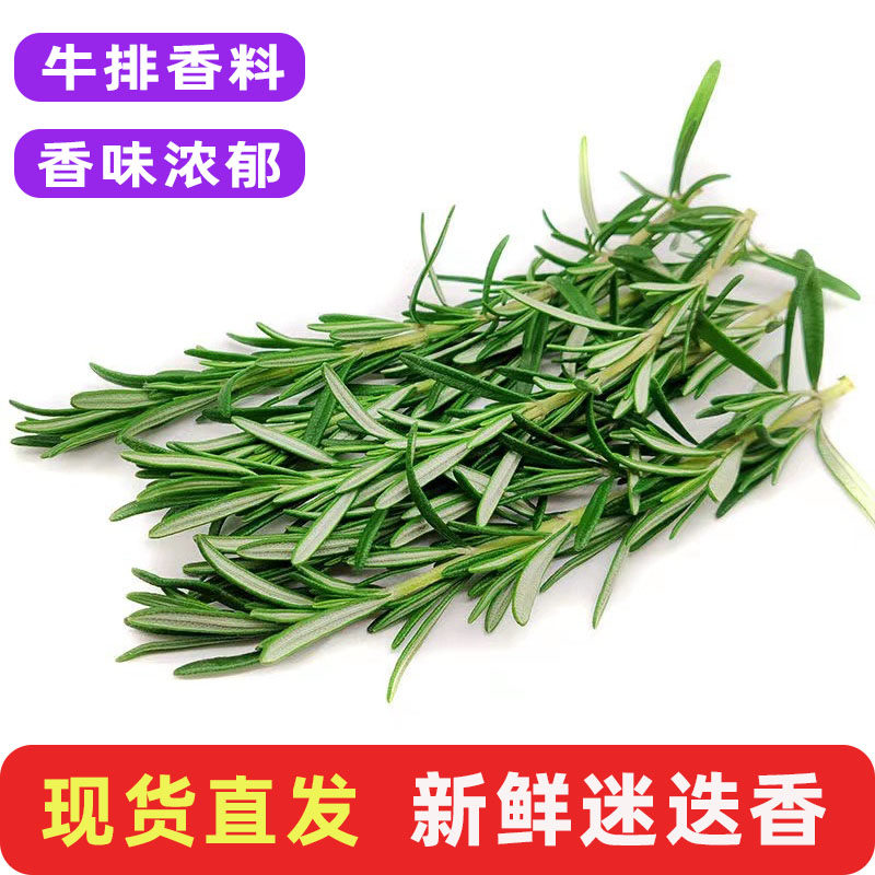 迷迭香新鲜食用香料菜煎牛排用调味料蛋糕烘培摆盘装饰鲜香草包邮,水产肉类/新鲜蔬果/熟食,其它,淘宝优惠券,粉丝福利购,淘宝优惠卷