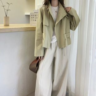 欧洲站2025秋季新款欧货潮立领单排扣短款风衣女宽松显瘦羽绒外套