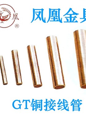 凤凰GT铜连接管 GT-630MM2(平方) 铜鼻子 铜接头 一只价