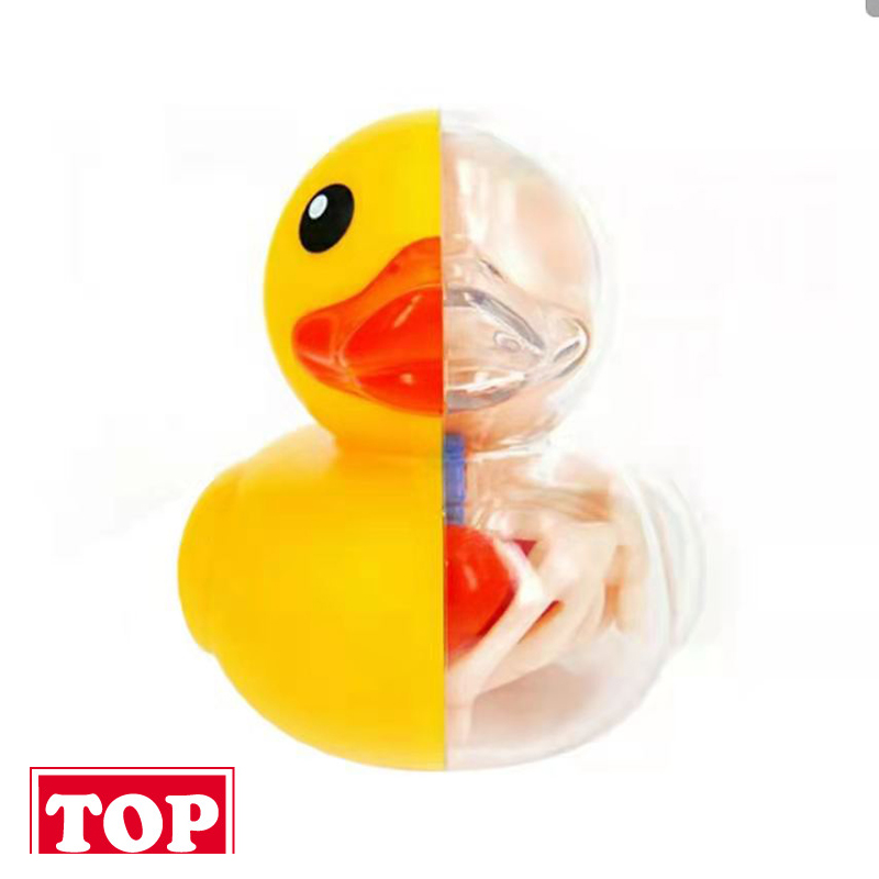 【TOP】公仔  4DMaster 原色小黄鸭 Jason Freeny 解剖潮玩礼品