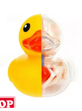 【TOP】公仔  4DMaster 原色小黄鸭 Jason Freeny 解剖潮玩礼品