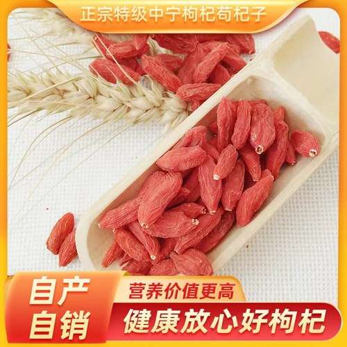 宁夏红正宗新货苟杞子构杞免洗