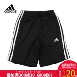 Quần Adidas nam Adidas nam 2019 hè mới quần short taekwondo quần thể thao PN10030MA - Quần thể thao