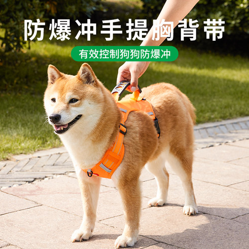 狗狗牵引绳胸背带遛狗绳子防挣脱
