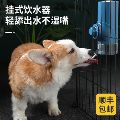 狗狗挂式喝水器猫咪不湿嘴饮水器