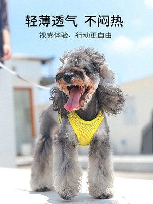 背心式狗狗牵引绳小型犬泰迪比熊博美胸背带小狗幼犬遛狗绳狗链子