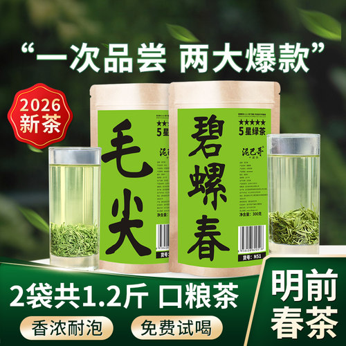 2026明前新茶碧螺春毛尖茶600g