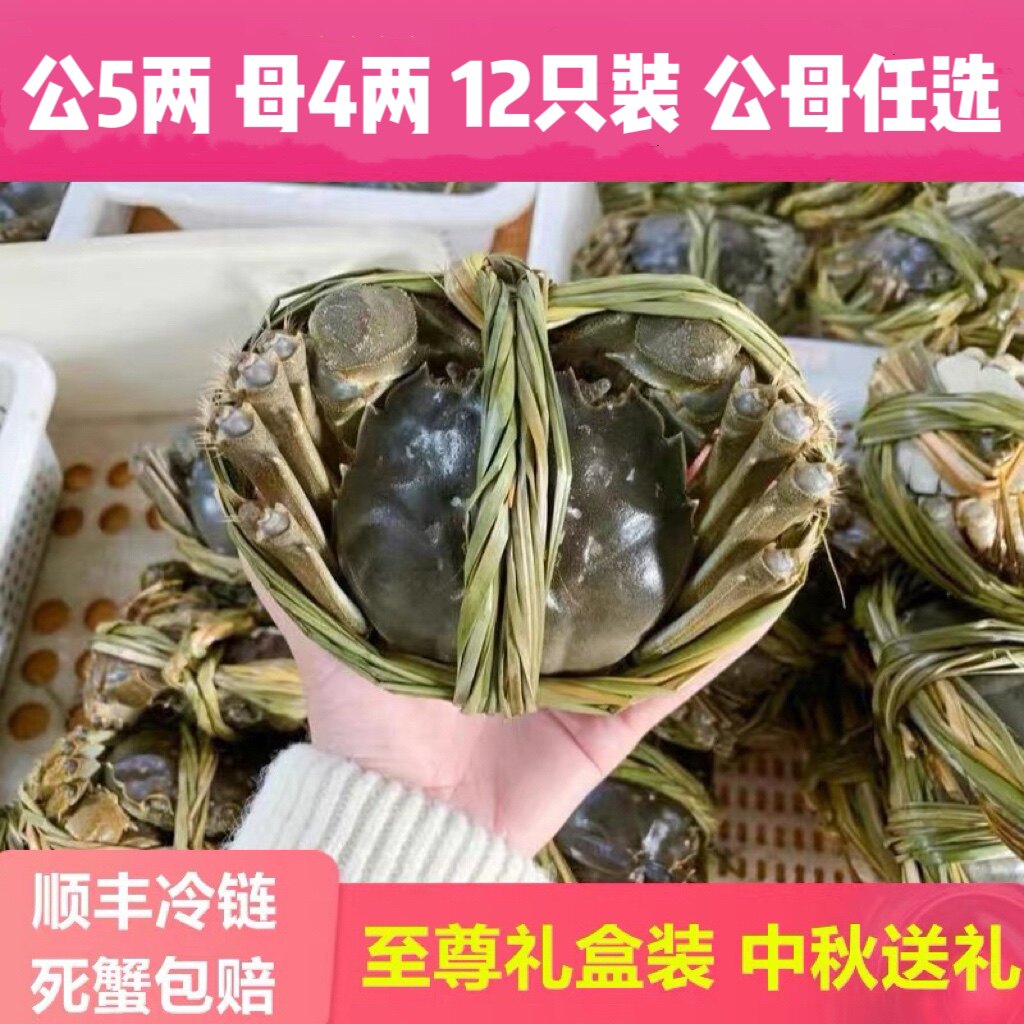 阳澄湖镇活蟹现货12只大闸蟹鲜活公5.0两母4.0两特大螃蟹可全母蟹怎么样,好用不?