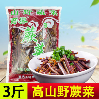 蕨菜新鲜1500g商用清水腌制凉菜