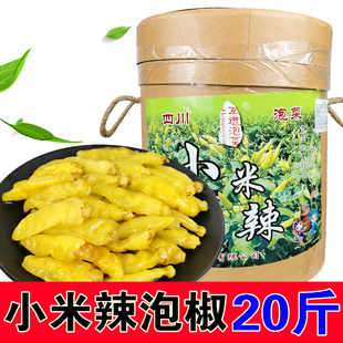 泡椒小米辣20斤桶装商用野山椒泡椒新鲜四川特产泡辣椒泡凤爪海椒