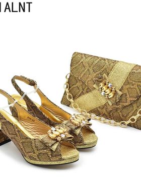 New Fashion Migerian Shoes for Women and Bag 2025 Designer L