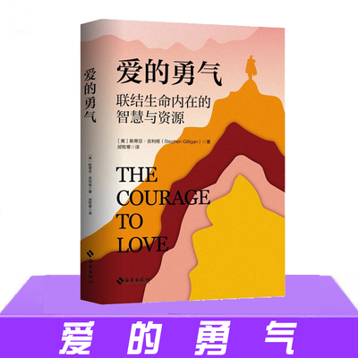现货 爱的勇气 联结生命内在的智慧与资源 斯蒂芬·吉利根阐释自我关系身心治疗法的心理学书籍 关于人性 自我解放 海南出版社