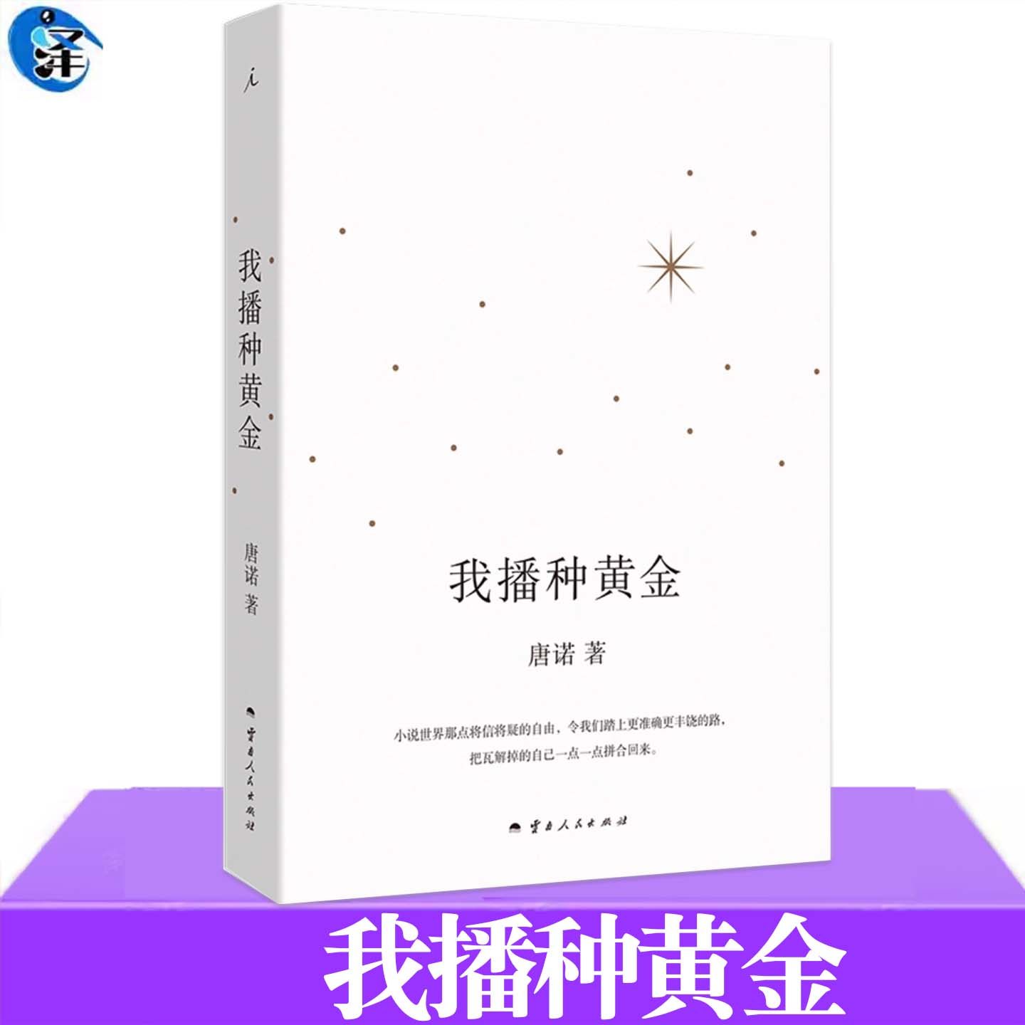 现货正版 我播种黄金 唐诺著 十三邀嘉宾唐诺真正答案之书焦虑的黄金书单 对应焦虑的黄金书单 云南人民出版社