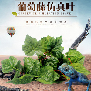 藤叶装饰仿真 葡萄藤叶爬宠箱造景万年青叶子爬虫环境植物